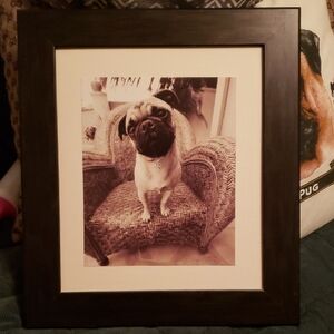 Framed Dog Portrait - Black Frame
